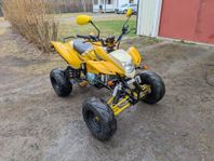 Bashan BadBoy 200cc