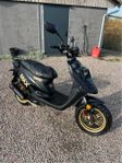 PGO Big Max 2022