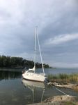 Albin Scampi 30 