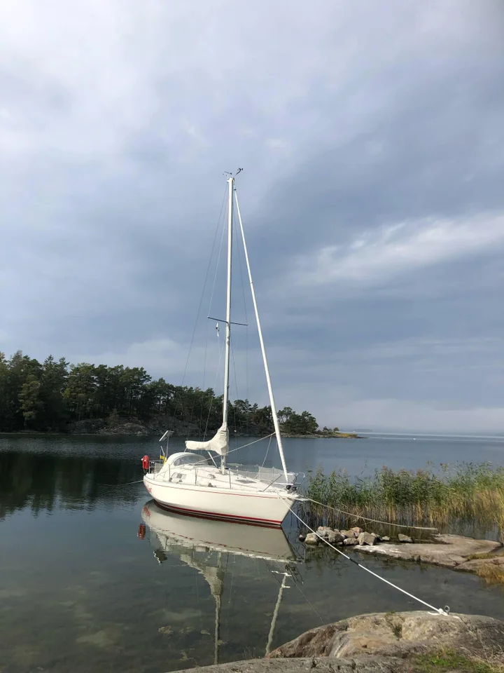 Albin Scampi 30 image