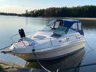 Sea ray 240 sundancer