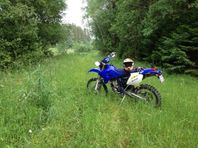 Yamaha WR450F - Landsvägsreggad och Besiktigad