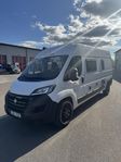 Chausson 599 2021