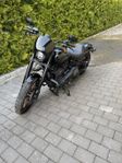 Low rider S