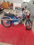 mustang cross special 73a