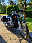 Kawasaki VN900 Custom
