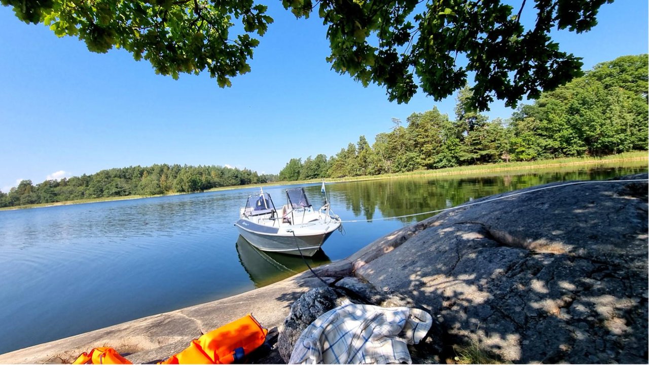 Silver Hawk 540 BR – 2016 med...