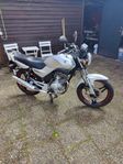 Yamaha ybr 125 A1