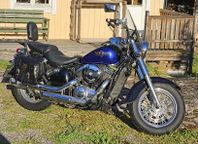 Kawasaki VN 800