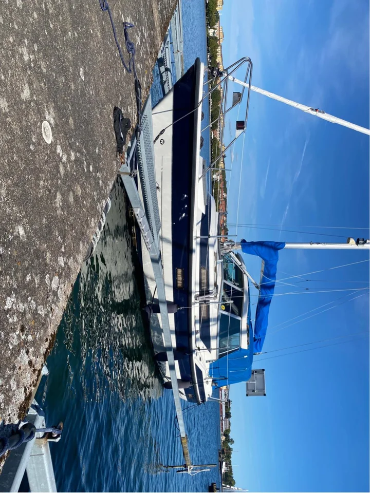 Winga 78 image