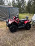 Goes 520 Cobalt