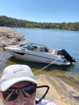 Flipper 650 DC mercury 200 hkr