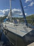 Swede 38 -81
