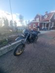 moped reiju drac nightrider 2020