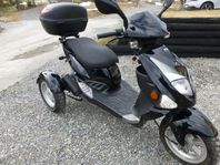 Trehjulig Moped     PGO TR3-50 T-REX      Trike