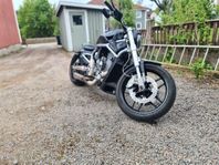 Harley Davidson v rod
