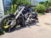 Harley Davidson v rod