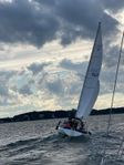 Segelbåt Willing 31