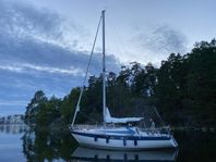 Segelbåt Willing 31