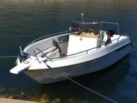 Ryd 600 gts m Johnsson 115 hk båtkärra