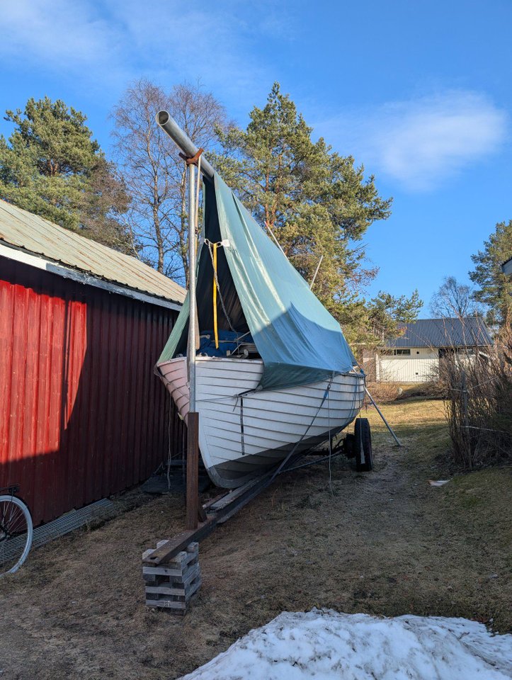 träsnipa "pärlan"