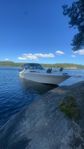 Sea ray 310 diesel Prissänkt