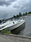 Sea ray 310 diesel Prissänkt 