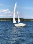 Shipman 28