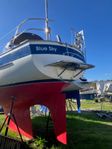 Hallberg Rassy 312 BLUE SKY