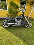 Harley- Davidson V-Rod Muscle
