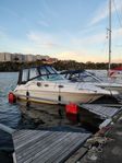 Sea Ray sundancer 250