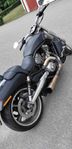 Harley Davidson V-rod Muscle