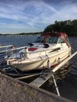 SeaRay 220 Sundancer  -90