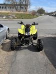 Fyrhjuling Bashan BS200