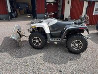 Arctic Cat Thundercat 1000