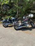 Street Bob