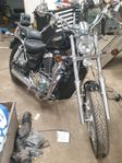 SUZUKI VS 800 GL Intruder