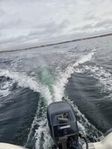 Ryds 435 R -95 + Evinrude15 hk