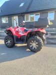 Fyrhjuling CFORCE 520S 