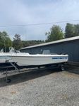 Ryds 495 GT + Mercury 60hk