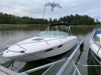 Sea Ray Overnighter 230