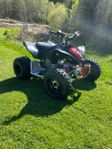 Can-Am DS 90 X *Nyservad*