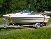 Daycruiser Renken 170  