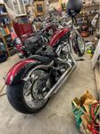 Big Dog chopper motor 117 6 speed. 