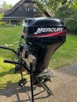 Mercury  25
