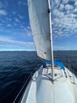 albin cirrus 78