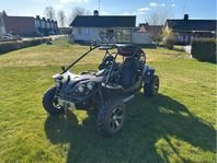 Renli/Xinyang XY1100GK Buggy 1100cc 