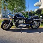 Kawasaki VN 1600 Classic, Nybesiktad utan anmärkning