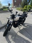 Triumph Street Scrambler 900