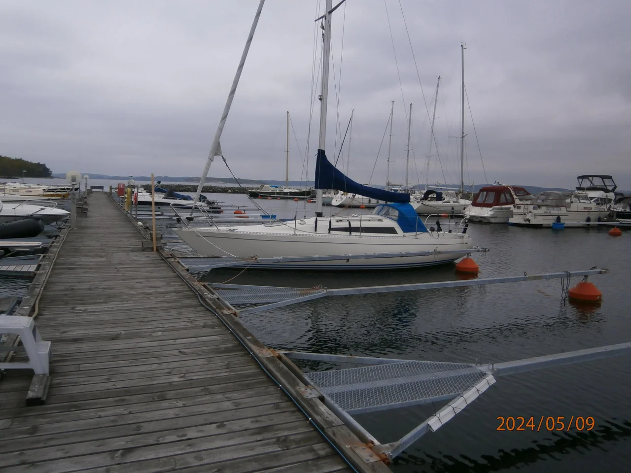 Aphrodite 30 image